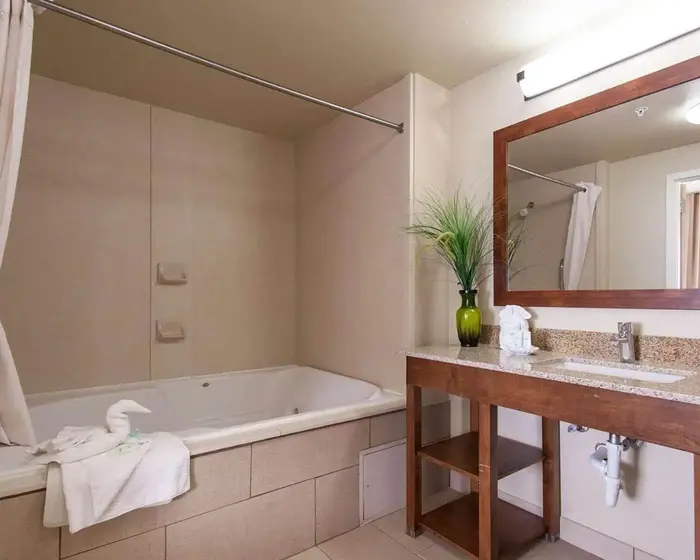 Comfort Suites Central/I-44