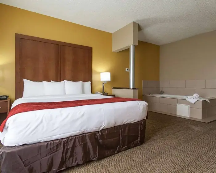 Comfort Suites Central/I-44
