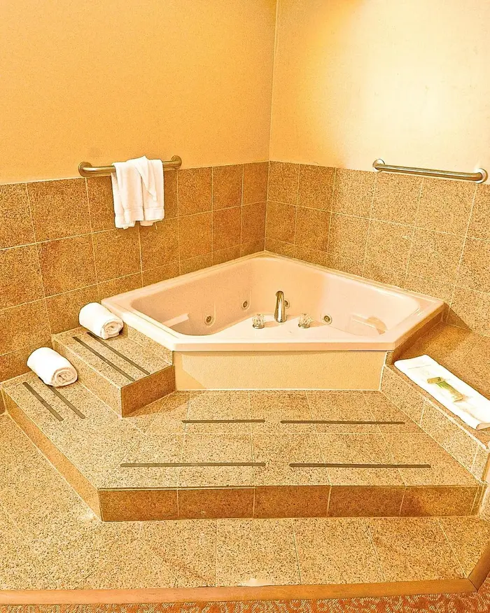 Holiday Inn Express Hotel & Suites Fenton