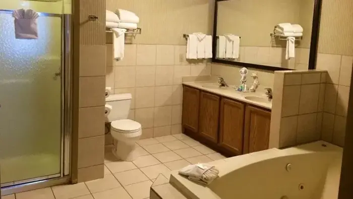 Delta Hotels Chicago O'hare Airport